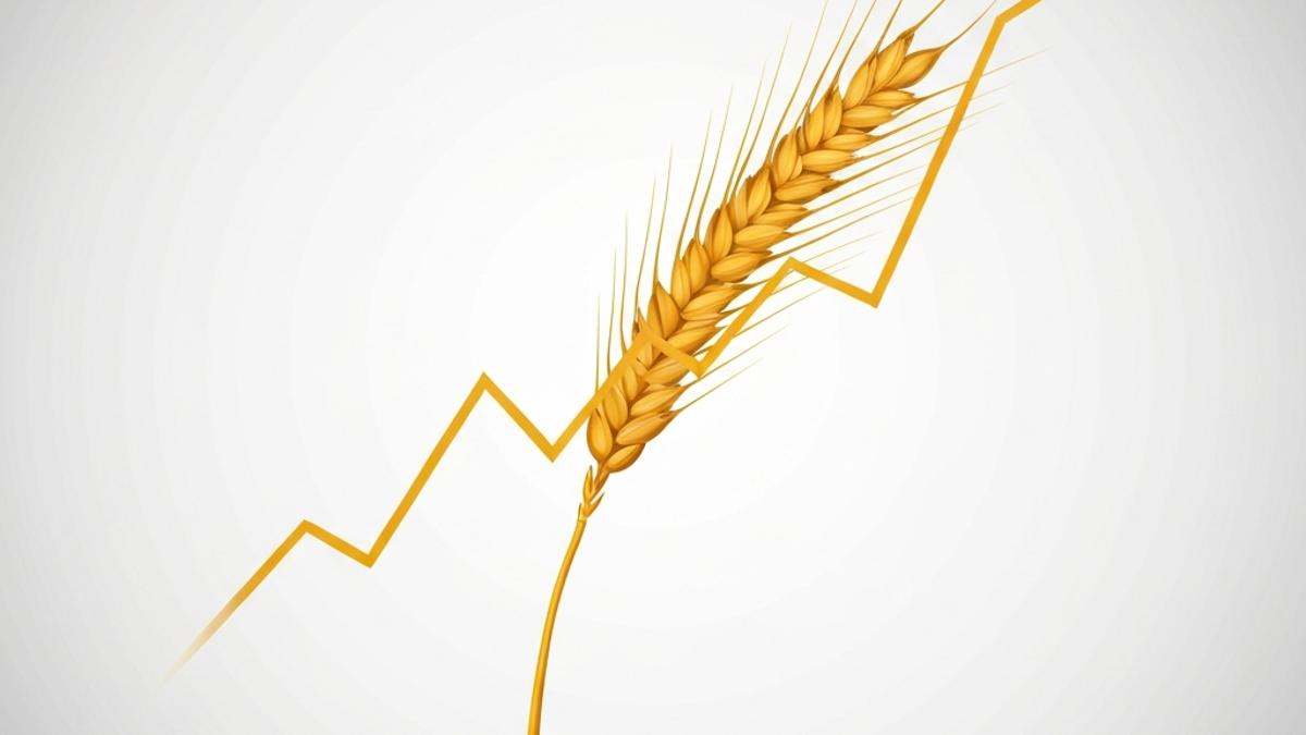 بۇغداي باھاسى تارىختىكى ئەڭ يۇقىرى چەككە يېتىپ دۇنياۋى ئاشلىق كرىزىسى تېخىمۇ ئېغىرلاشماقتا