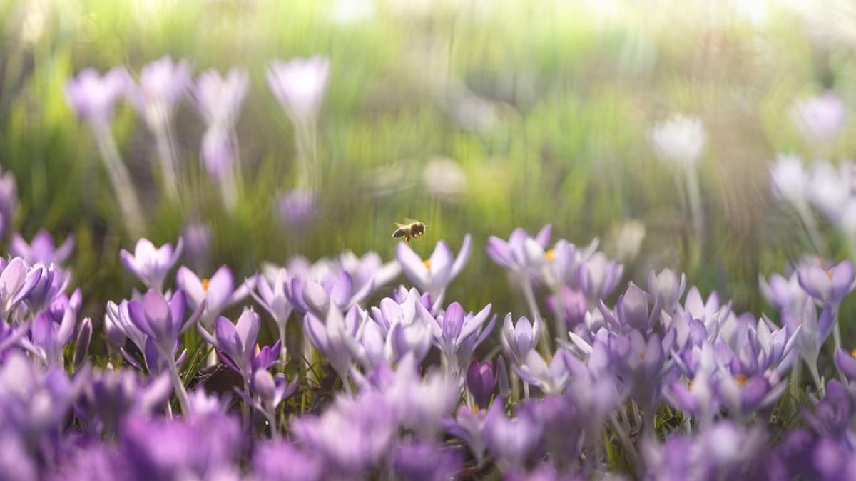 2026-يىللىق ئەتىيازلىق زىيادە سەزگۈرلۈك ئەڭ ئېغىر بولىدىغان ئامېرىكا شەھەرلىرىنىڭ دەرىجە تىزىملىكى