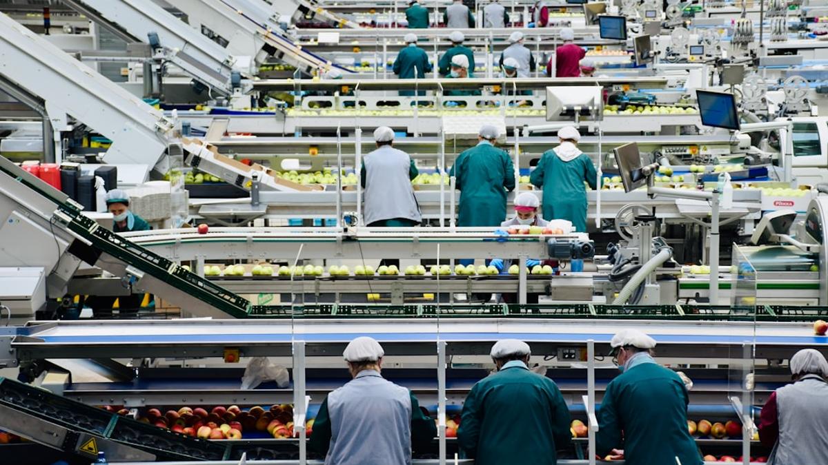 بىخەتەر بولمىغان يېمەكلىكلەر ھەر يىلى 866 مىليون كېسەللىك ۋە 1.5 مىليون ئۆلۈمنى كەلتۈرۈپ چىقارماقتا، كىچىك بالىلار ئەڭ يۇقىرى خەتەرگە دۇچ كەلمەكتە.