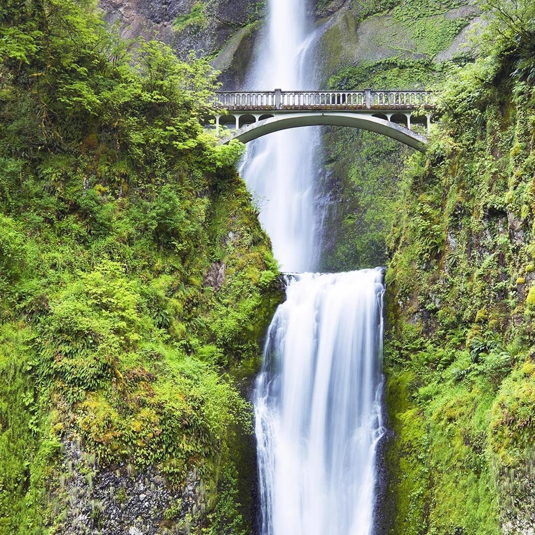 شىنجاڭ تەمبۇر نەشرى