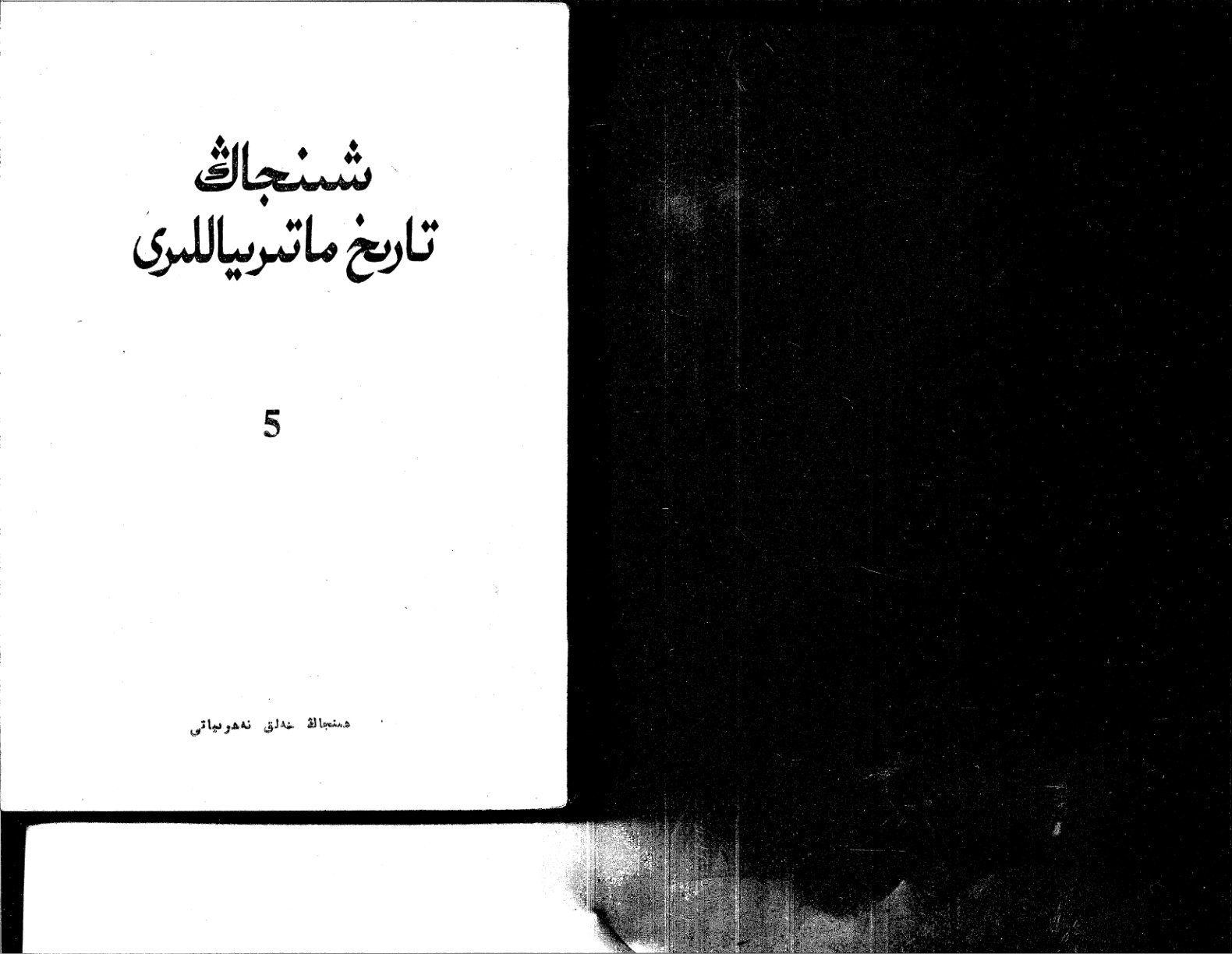 شىنجاڭ تارىخ ماتېرىياللىرى