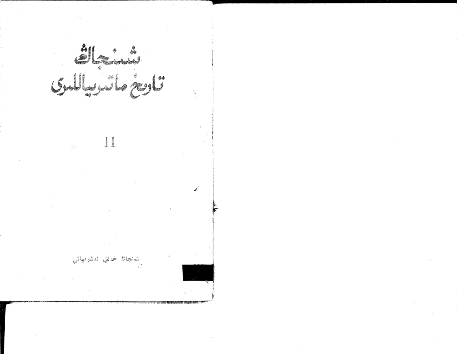 شىنجاڭ تارىخ ماتېرىياللىرى - 11