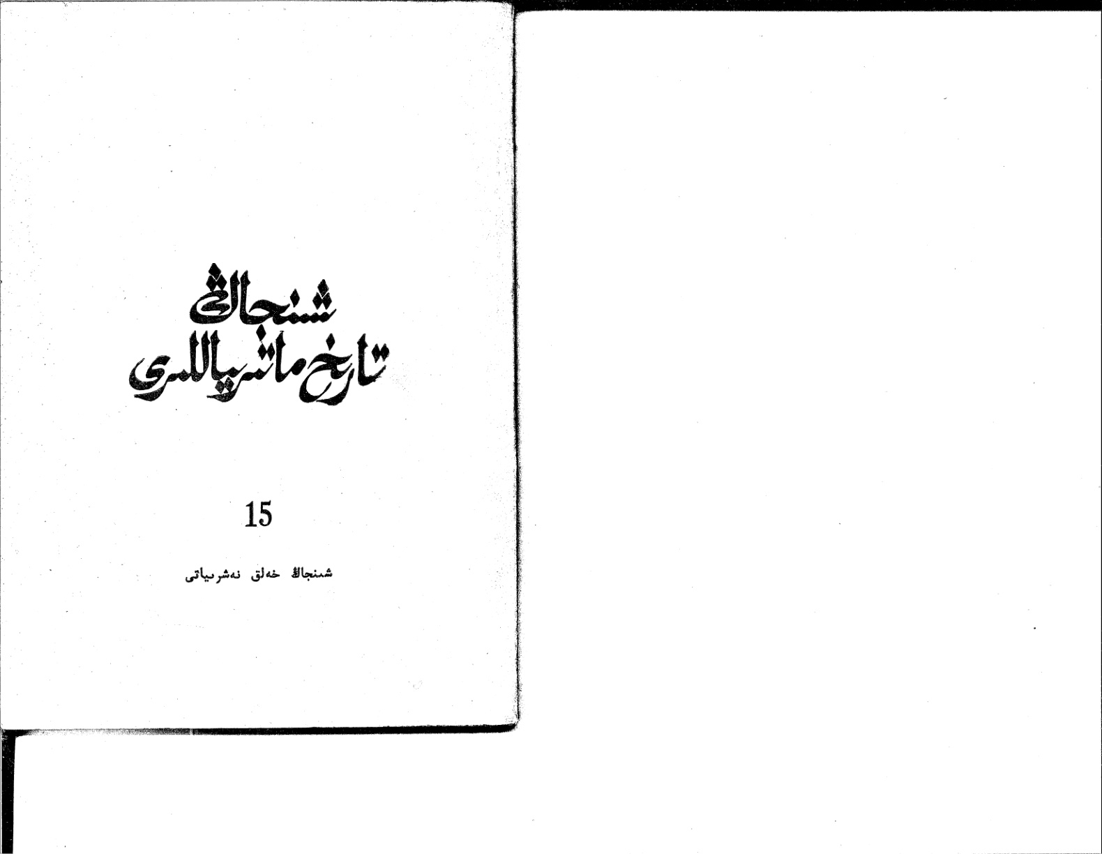 شىنجاڭ تارىخ ماتېرىياللىرى (15)