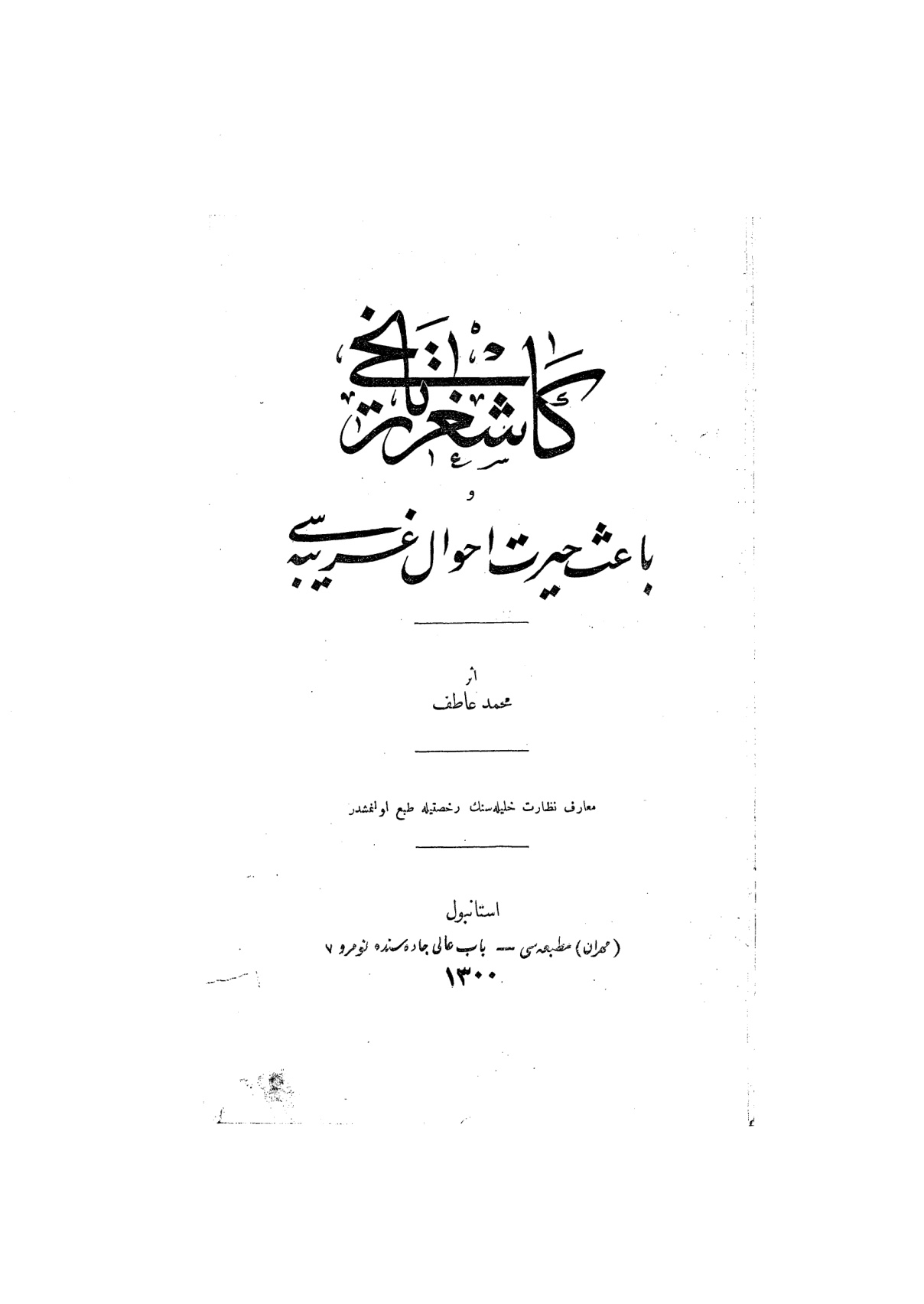 كاشغر تاريخى