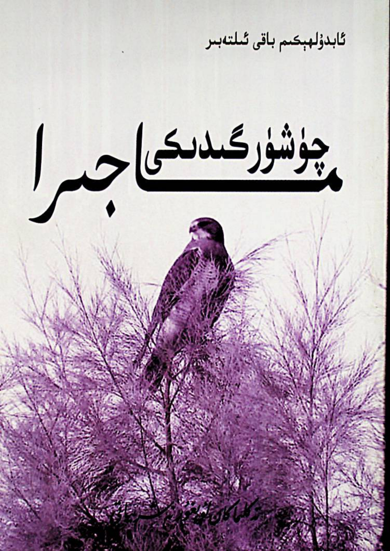 چۆشۈرگىدىكى ماجرا