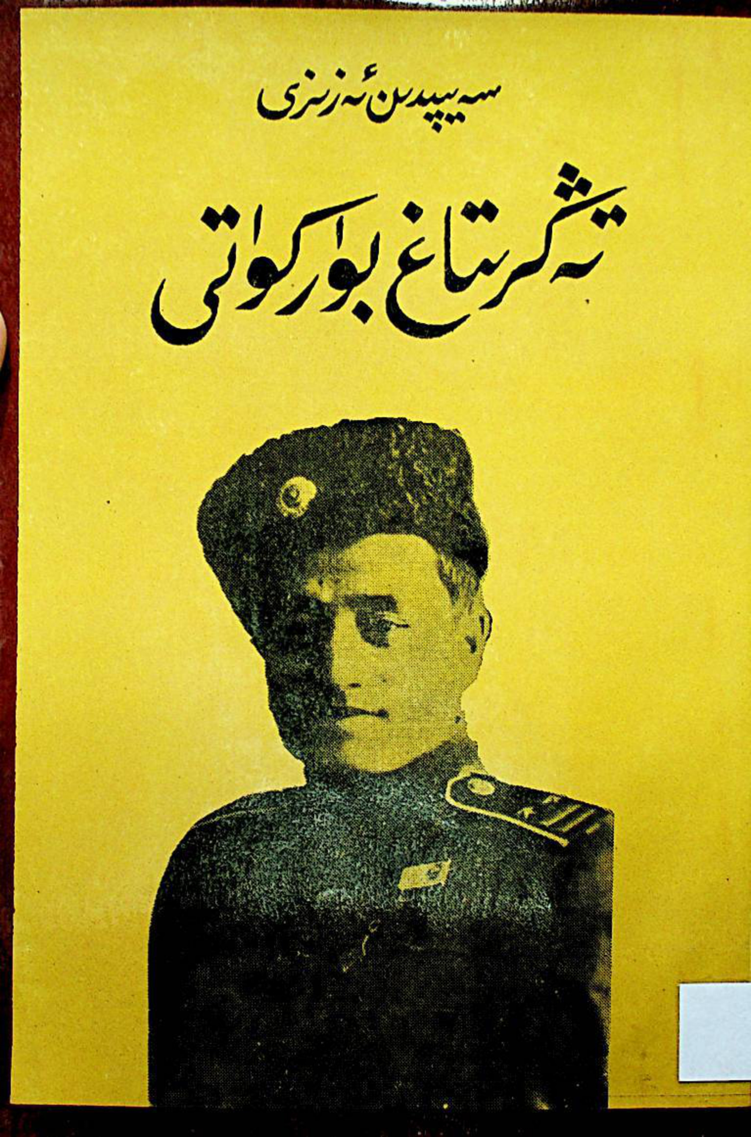 تەڭرىتاغ بۈركۈتى