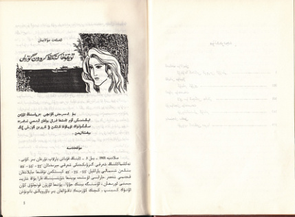 ئۇيقۇغا كەتكەن كىرورىن گۈزىلى