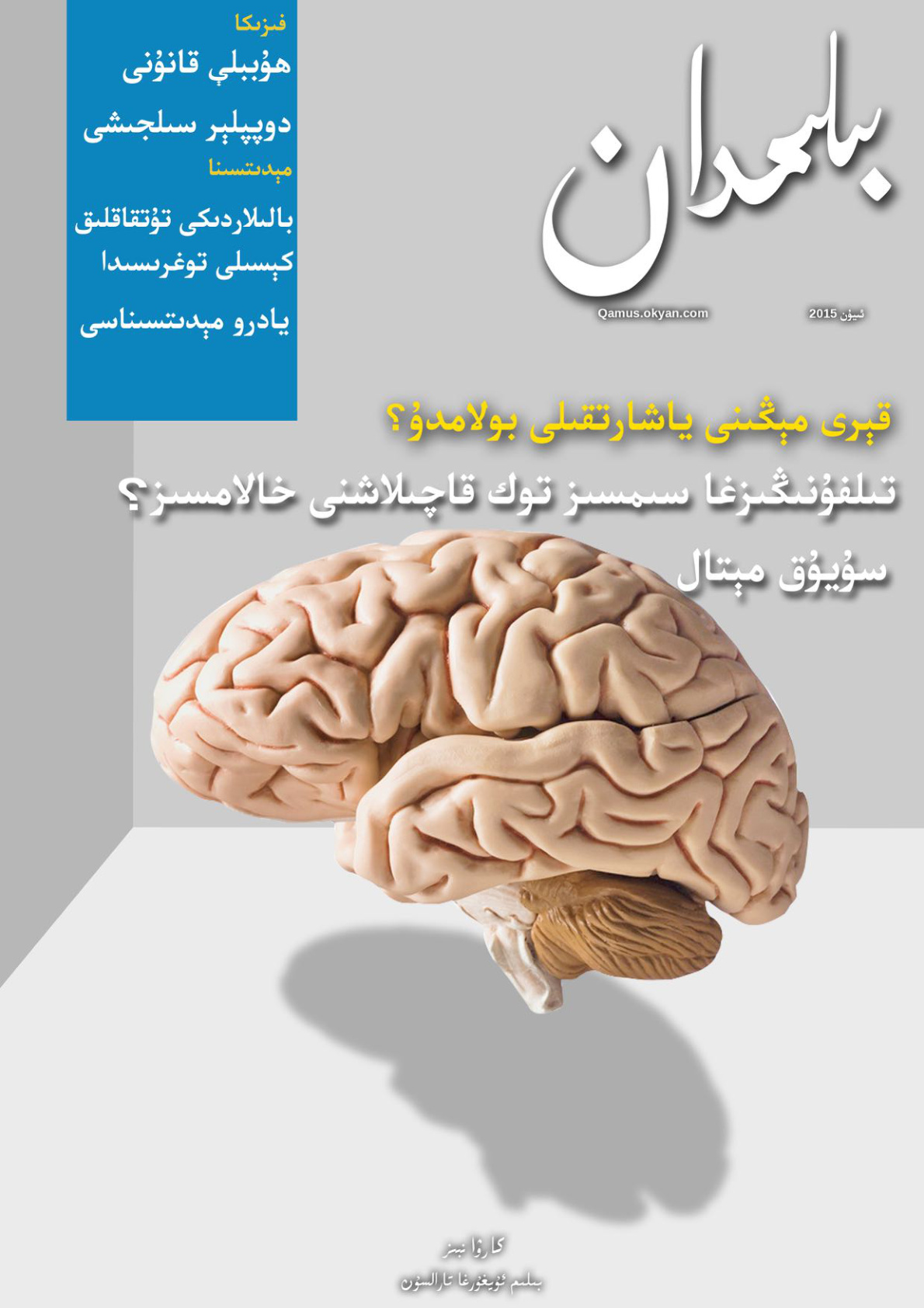 بىلىمدان (4-سانى)