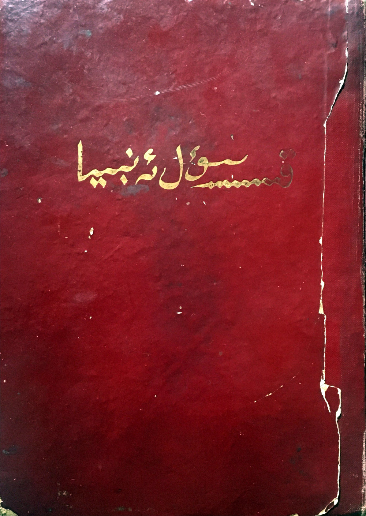 قىسسەسۇل ئەنبىيا