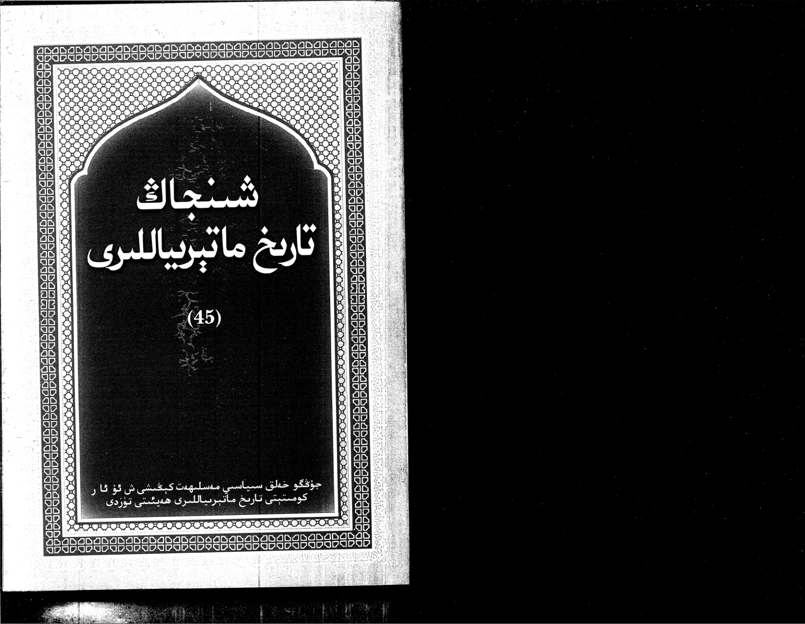 شىنجاڭ تارىخ ماتېرىياللىرى - 45